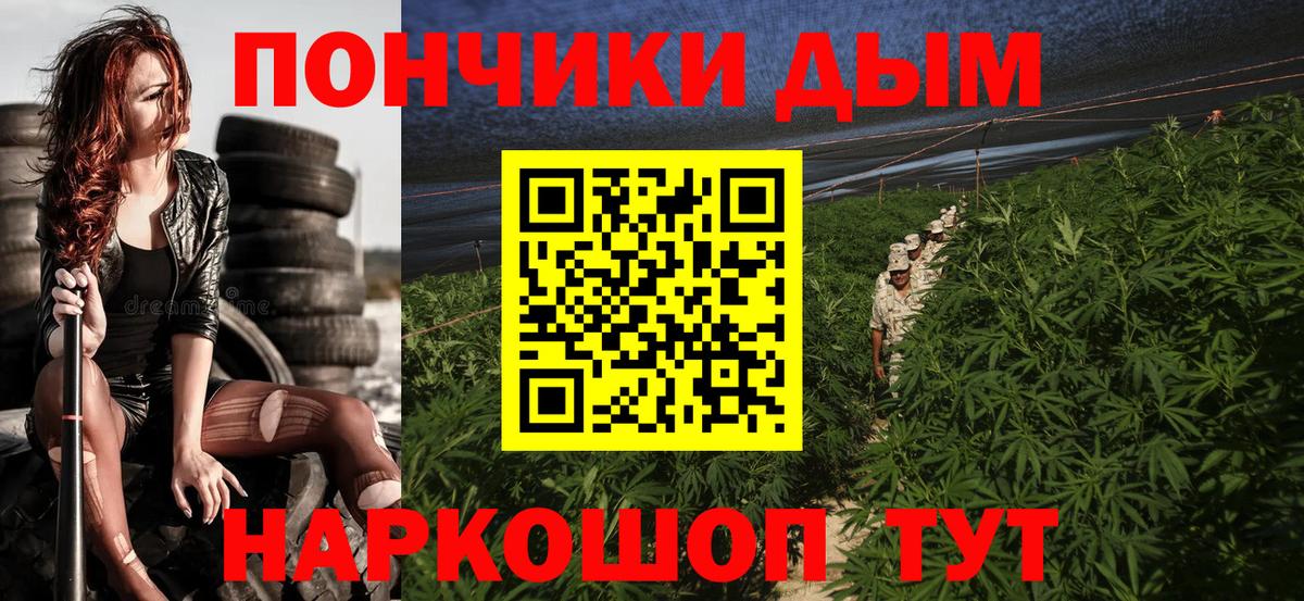 Великий Новгород  Каннабис планчик  Канабис Bruce Banner  Вход с VPN  Конопля Amnesia  Конопля план 